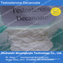 Inoxable stéroide Testosterone Decanoate en poudre Bodybuilding Muscle 5721-91-5